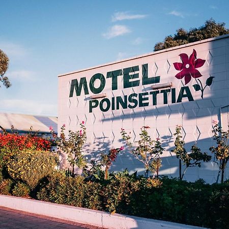 Motel Poinsettia Порт-Огаста Екстер'єр фото